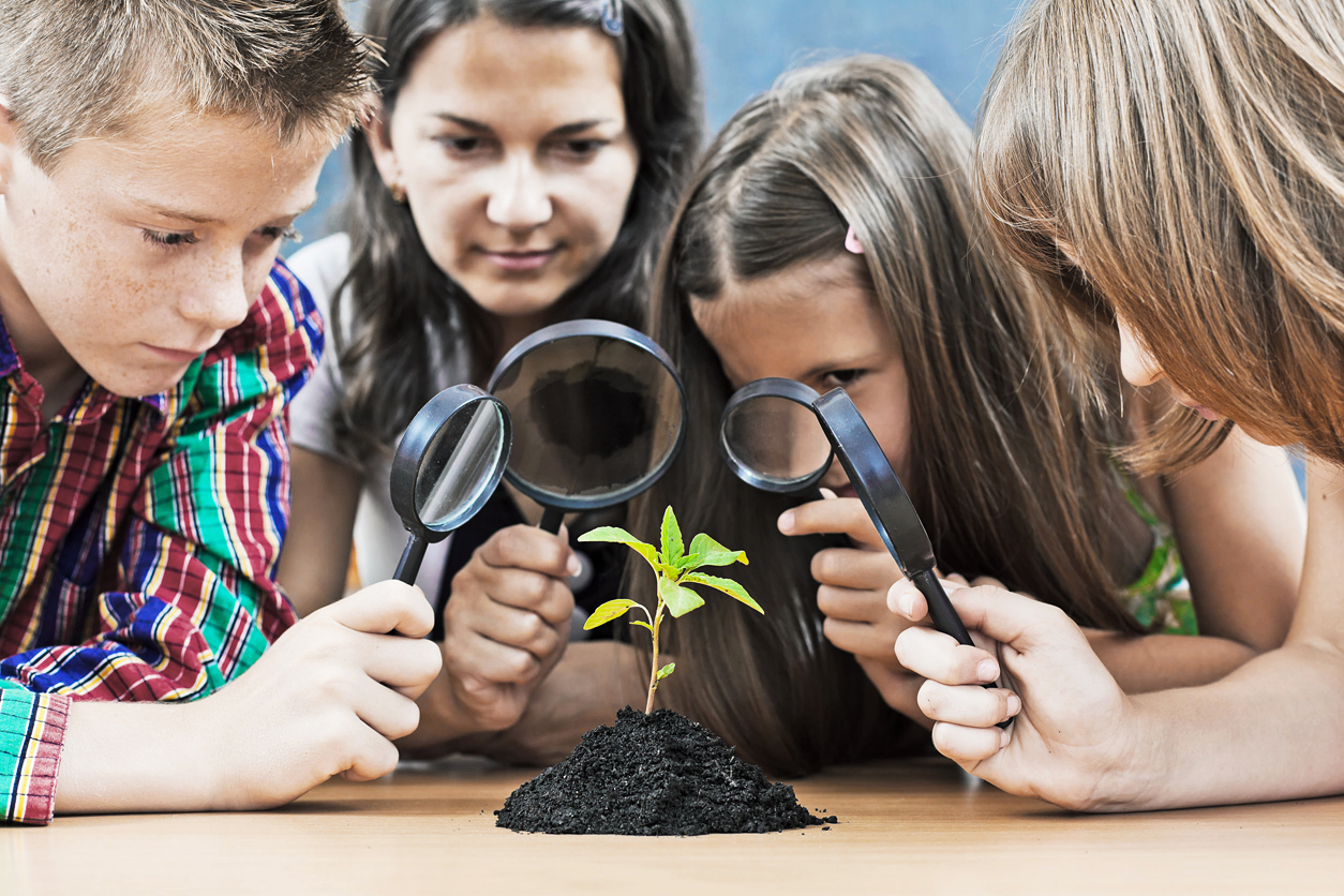 26131586 - teacher and students looking at a plant through magnifier