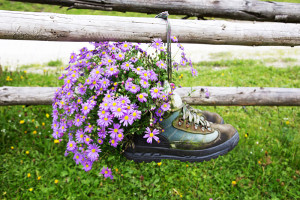 34556899 - shoe pot in the small green garden